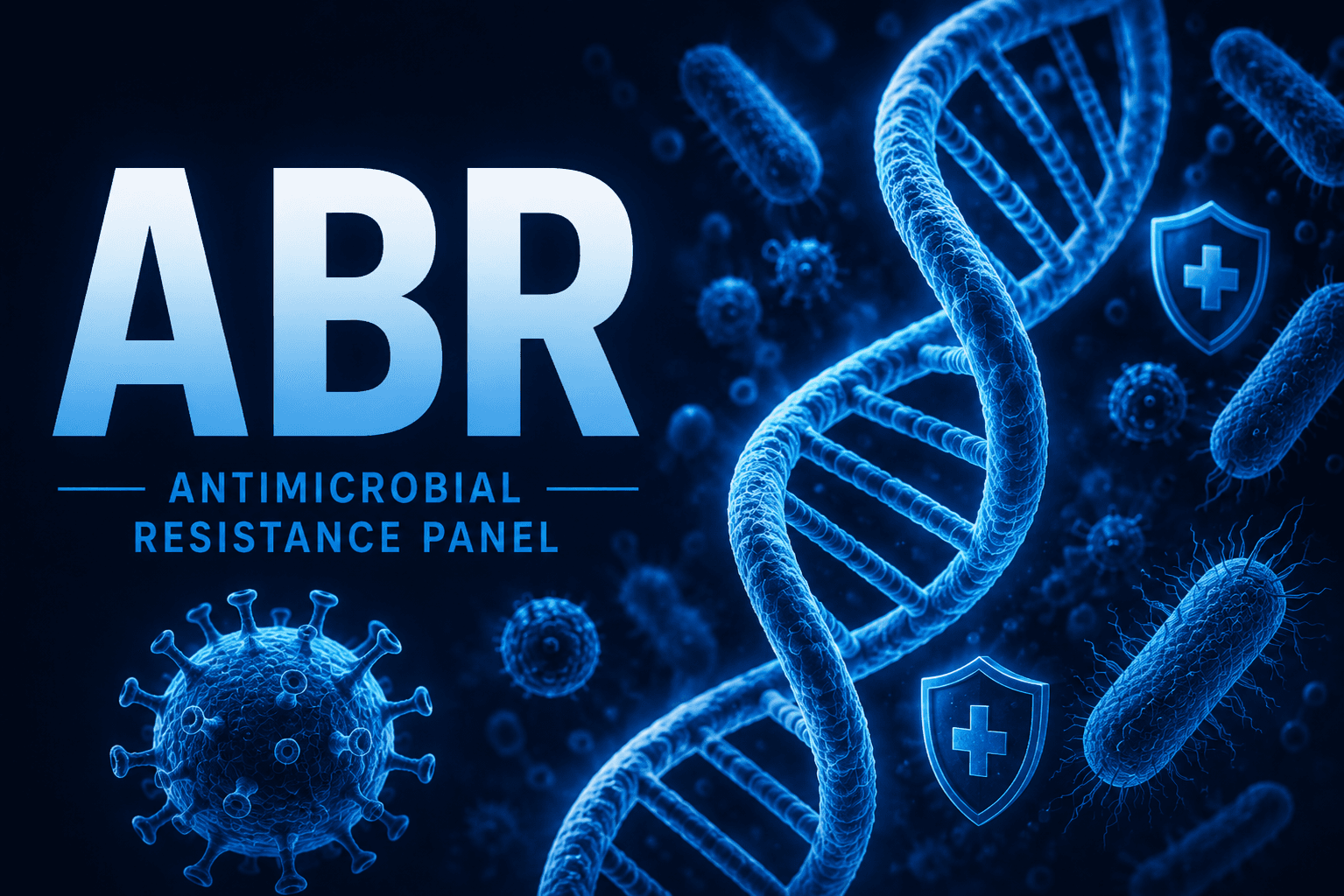 ABR Panel brochure thumbnail